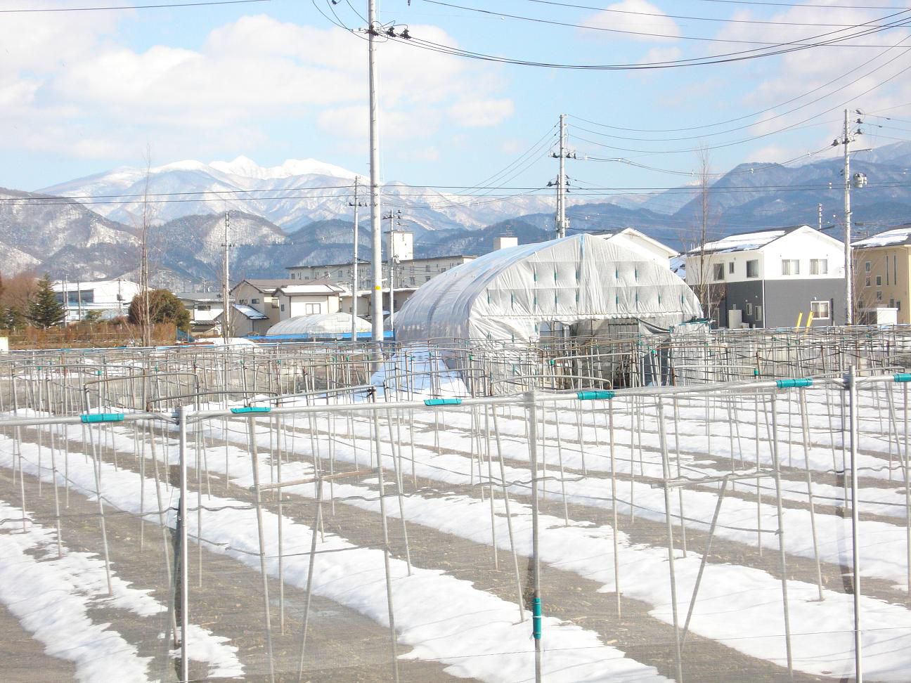 皆で力を合わせ住む所と仕事を創り安心して生活出来る場所を作りましょう