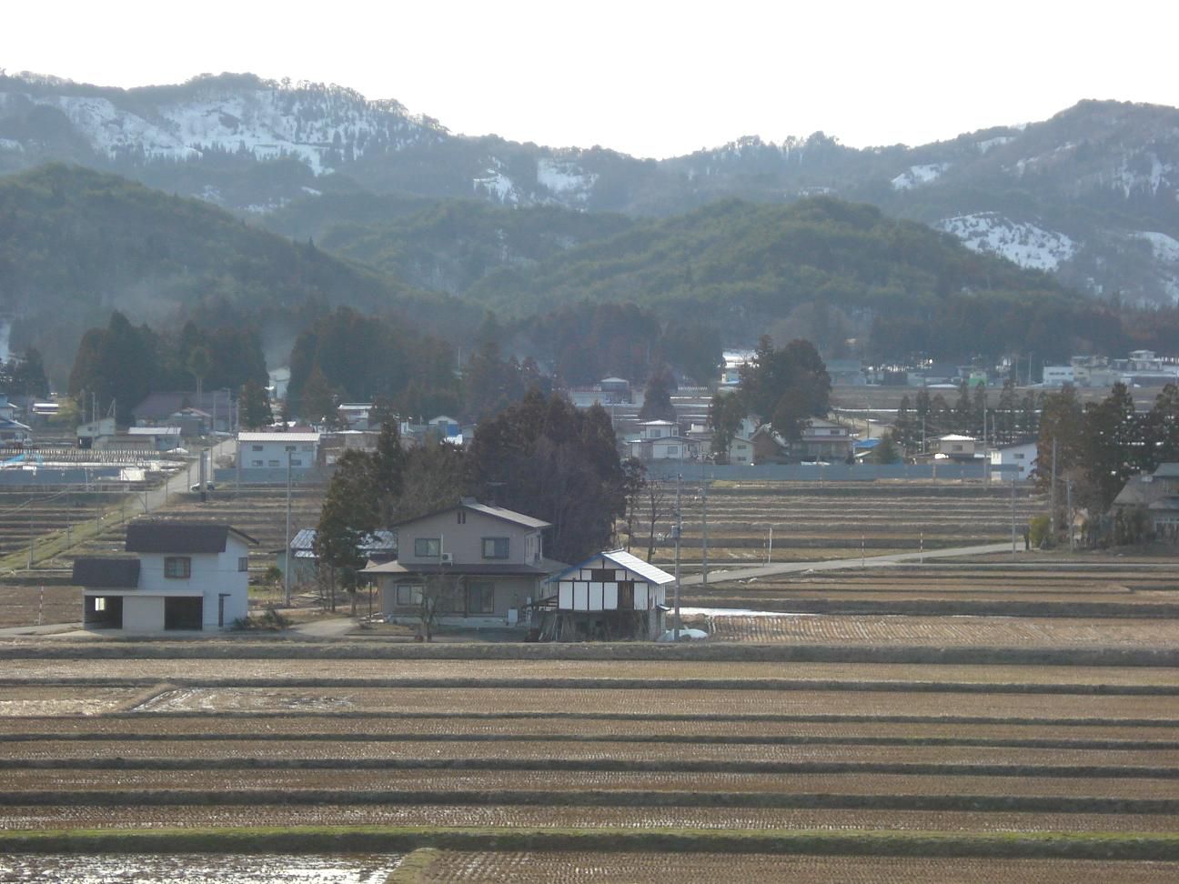 未曾有の天災、自粛だけでなく農畜産、漁業を守る対策を一時も早く！、