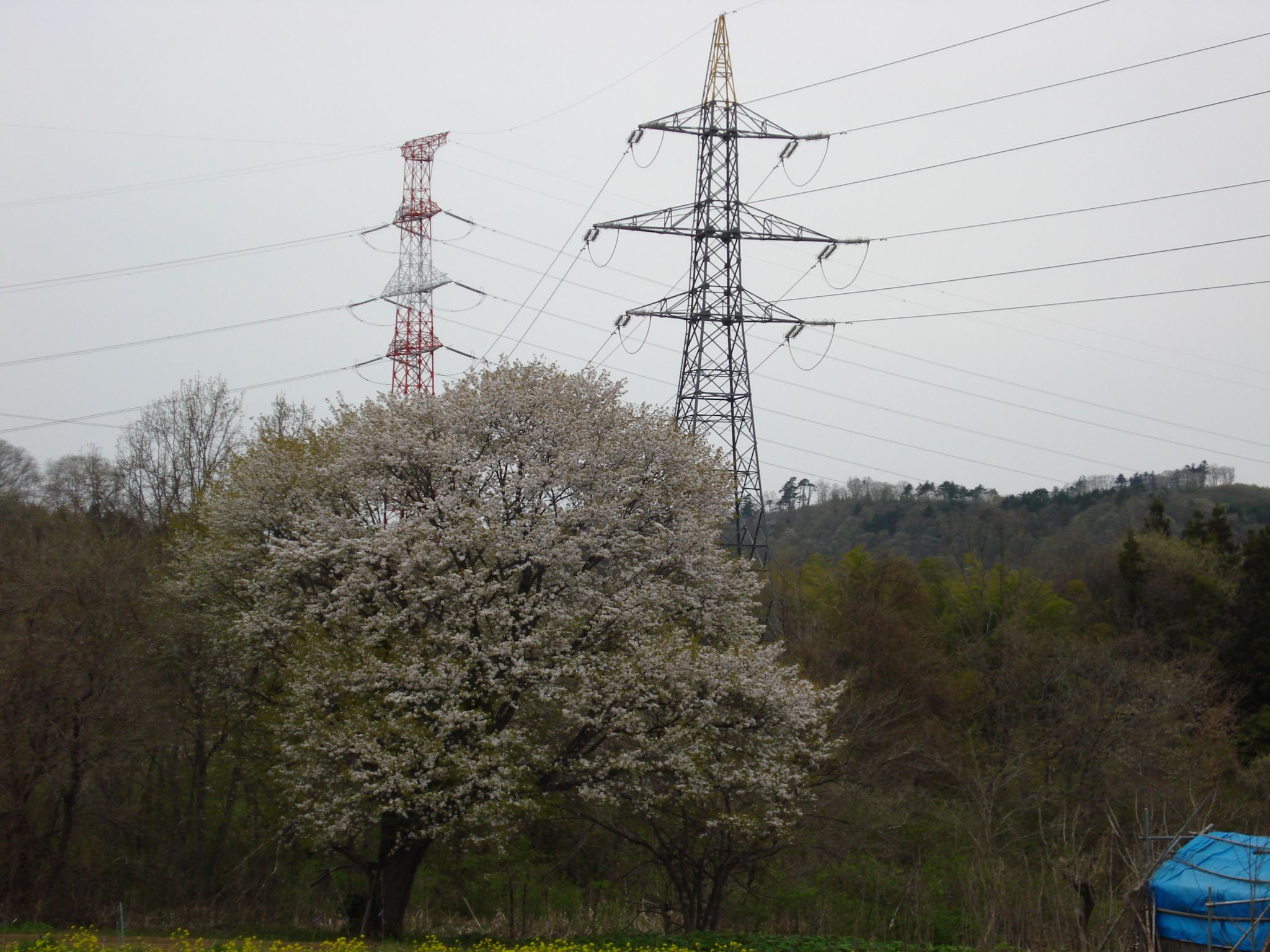 クローズアップ東北、安全で資源豊富な山形に自然エネルギー基地を創る