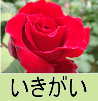 春が待ちどうしい今日この頃。雪が多く寒さが厳しい分輝かしい日ざしの春が来る事でしょう☆彡