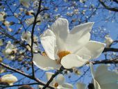 困難は発展の契機。夢は必ず実現できるという希望の芽から育てていく。