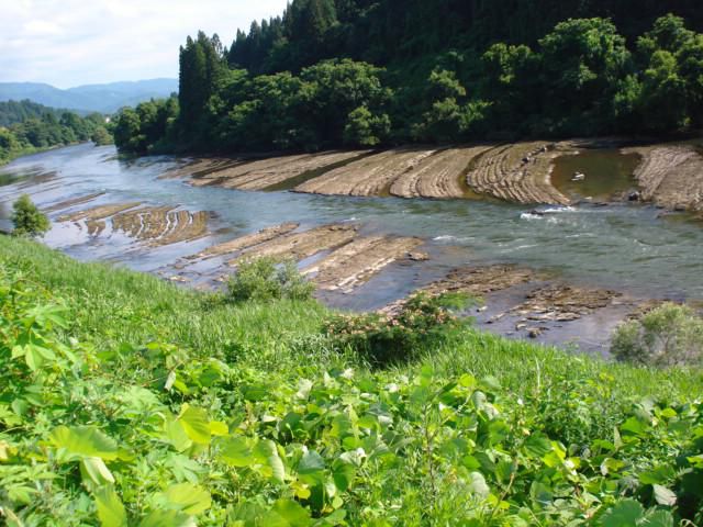 次世代未来にはクリーンな状態で繋げたい(@^^)/~~~☆彡