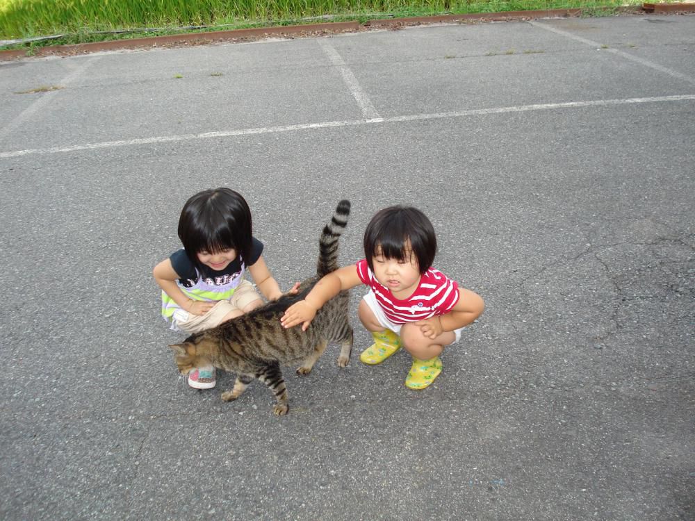 次世代未来を守りぬく決意!(^^)!