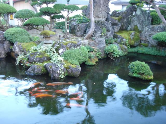 我が町の宝、発見、。次世代未来に活かす。(@^^)/~~~☆彡