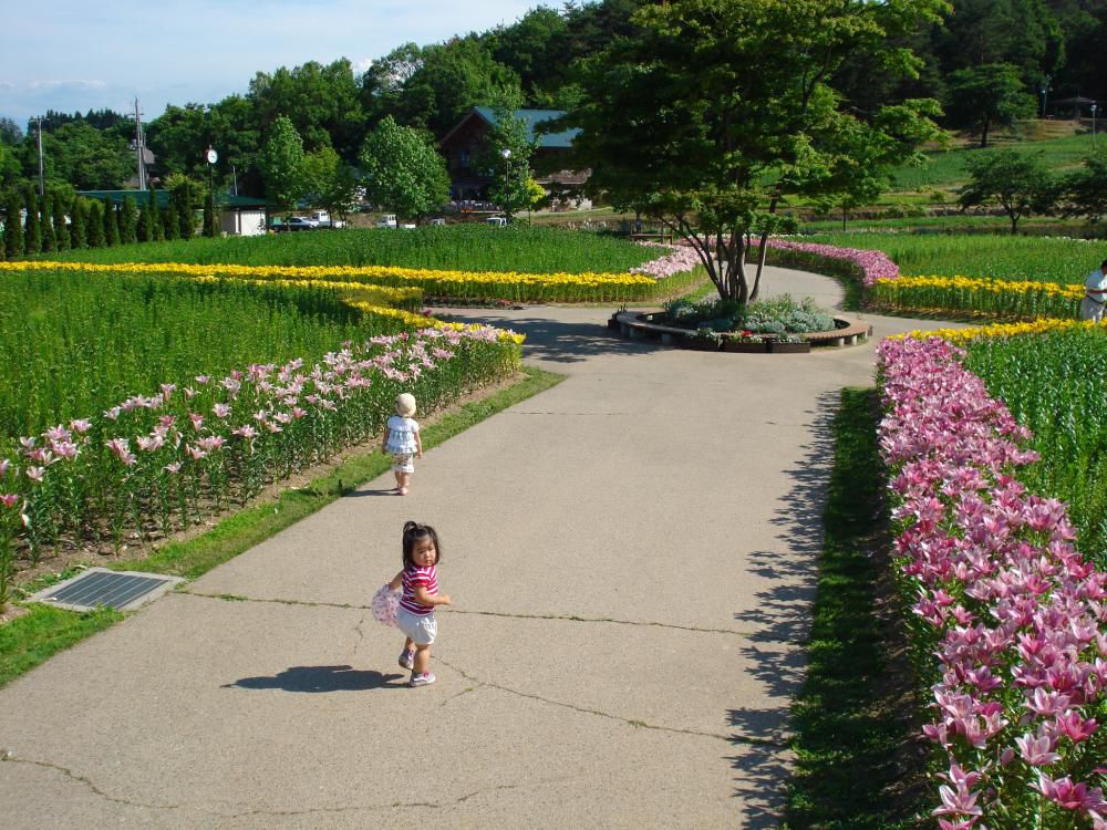 めざみの里いいでユリ公園がオープン致しました(@^^)/~~~☆彡